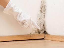 Best Crawl Space Mold Remediation  in Weddington, NC